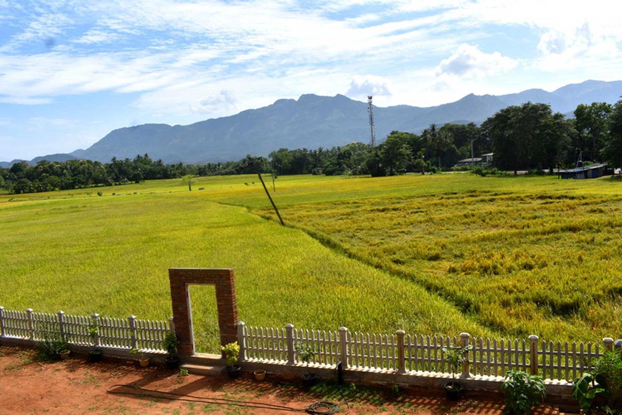 Green Heritage Holiday Resort Mahiyanganaya Ngoại thất bức ảnh