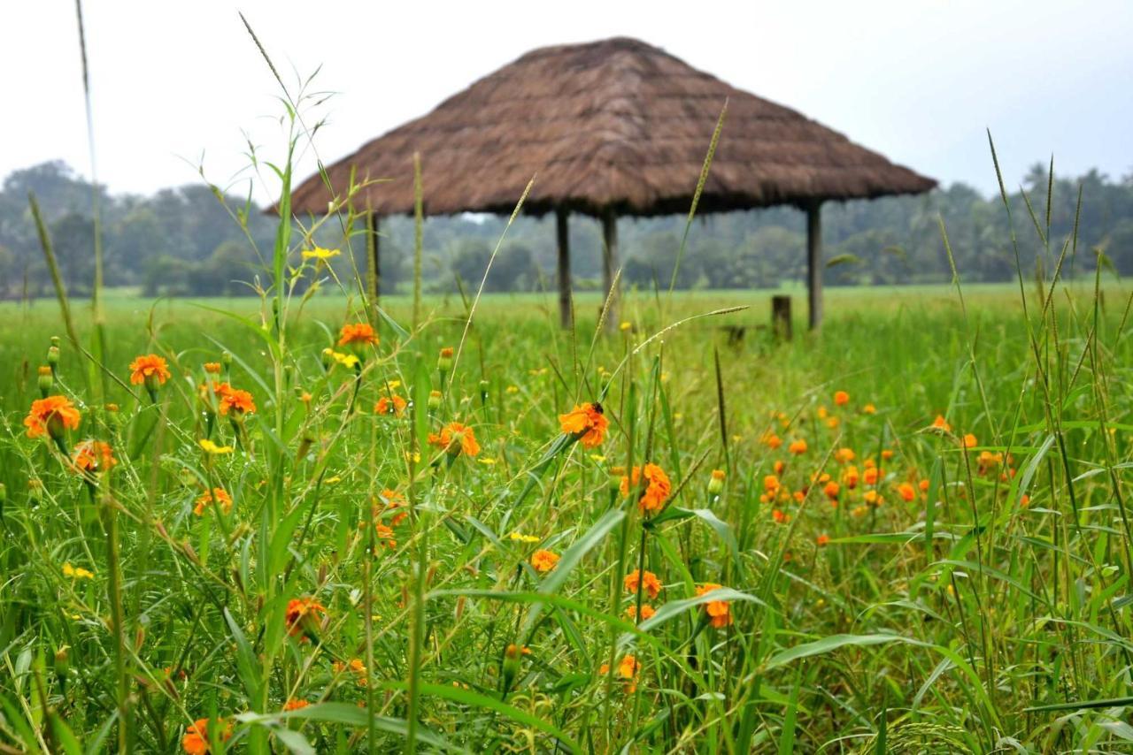 Green Heritage Holiday Resort Mahiyanganaya Ngoại thất bức ảnh