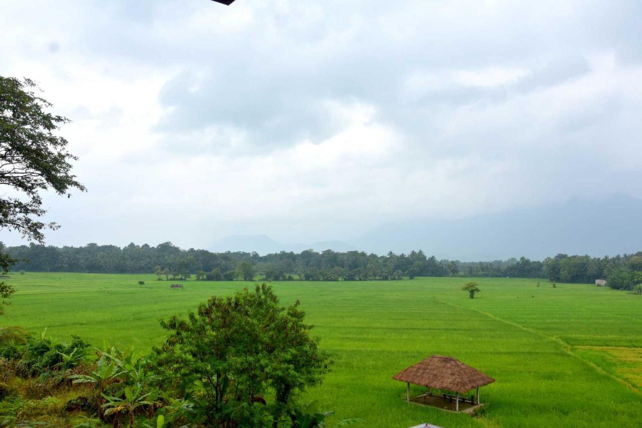 Green Heritage Holiday Resort Mahiyanganaya Ngoại thất bức ảnh